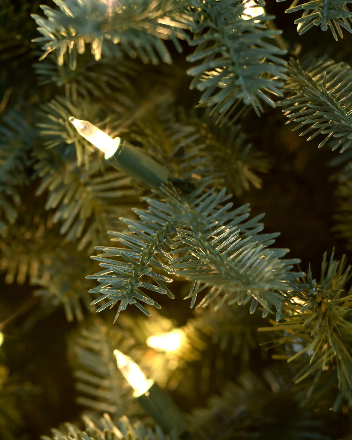 fir-narrow-tree-adjustable-trees