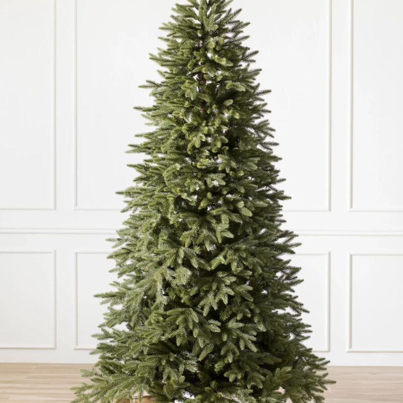 Stratford Spruce®