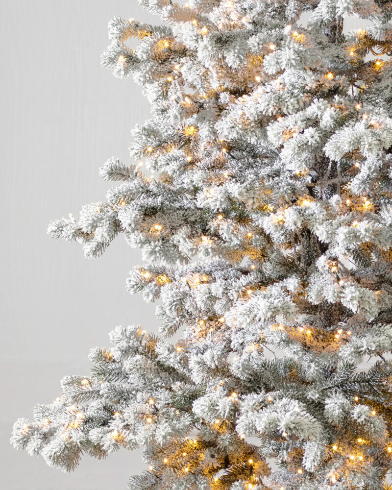 Frosted Yukon Spruce®