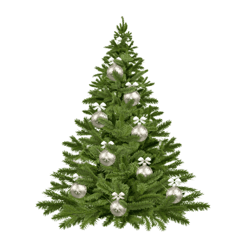 What Is a Grow-and-Stow Christmas Tree? Shop Our 2023 Picks